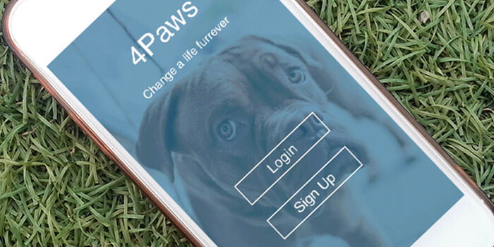 4paws app design